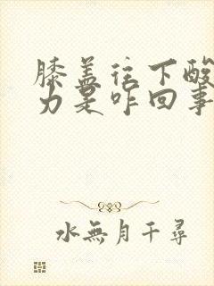 膝盖往下酸软无力是咋回事