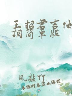 王招君吉他谱c调简单版