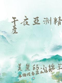 午夜亚洲精品国产