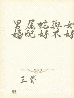 男属蛇与女属马婚配好不好