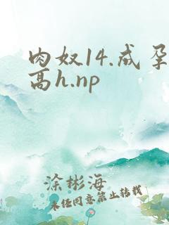 肉奴14.成孕高h.np