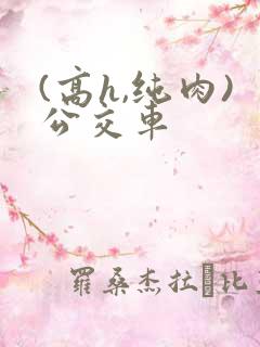 (高h,纯肉)公交车