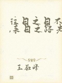 往日之日不可追,来日之路光明灿烂