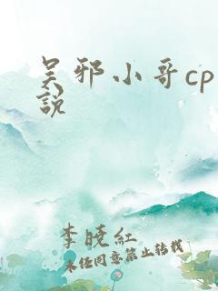 吴邪小哥cp小说