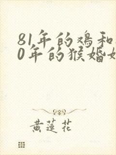 81年的鸡和80年的猴婚姻怎么样