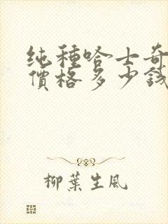 纯种哈士奇幼犬价格多少钱