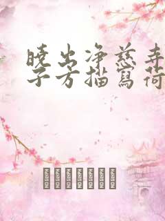 晓出净慈寺送林子方描写荷花的句子