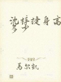 沈梓捷身高体重多少