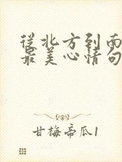 从北方到南方的最美心情句子