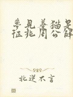 梦见养猫是什么征兆周公解梦