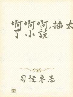 啊啊啊,插太深了小说