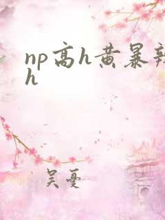 np高h黄暴辣h