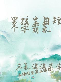 男孩生日短句8个字霸气