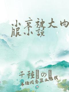 小哀被大肉楱征服小说