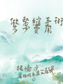 做紧缩手术一般多少费用