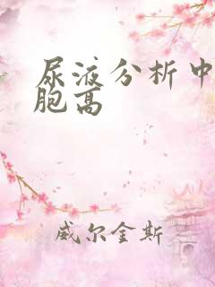 尿液分析中红细胞高