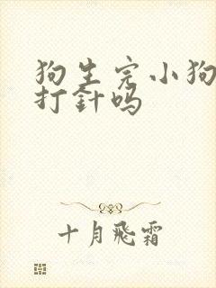 狗生完小狗需要打针吗