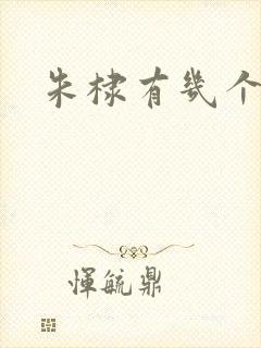 朱棣有几个妻子