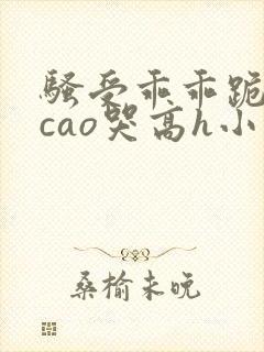 骚受乖乖跪趴被cao哭高h小说