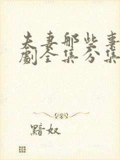 夫妻那些事电视剧全集分集剧情介绍