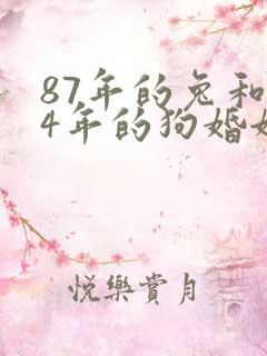 87年的兔和94年的狗婚姻相配吗