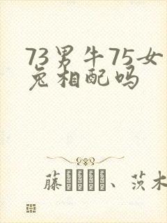 73男牛75女兔相配吗