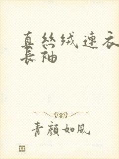 真丝绒连衣裙 长袖