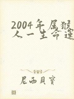 2004年属猴人一生命运如何