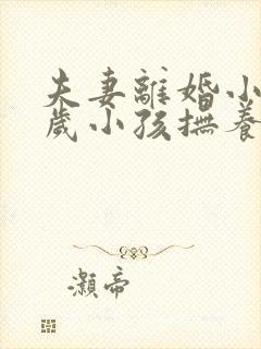 夫妻离婚小孩2岁小孩抚养权归谁