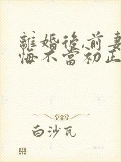 离婚后,前妻她悔不当初正版