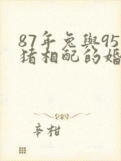 87年兔与95猪相配的婚姻如何