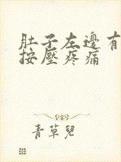 肚子左边有硬块按压疼痛