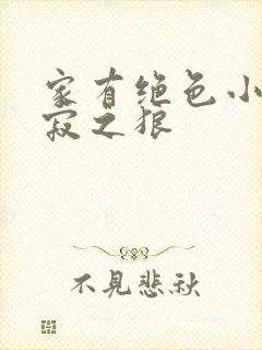 家有绝色小姨孤寂之狼