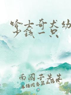 哈士奇犬幼犬多少钱一只