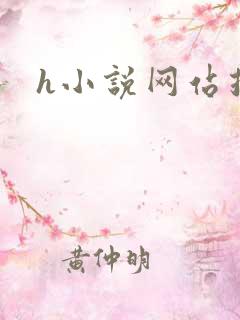 h小说网站推荐