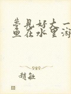 梦见好大一条黑鱼在水里游