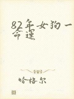 82年女狗一生命运