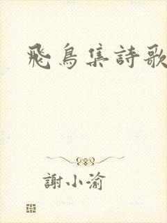飞鸟集诗歌