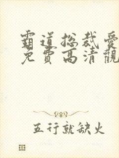 霸道总裁爱上我免费高清观看