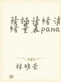 积极情绪消极情绪量表panas