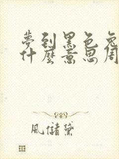 梦到黑色兔子是什么意思周公解梦