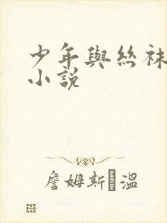 少年与丝袜熟女小说