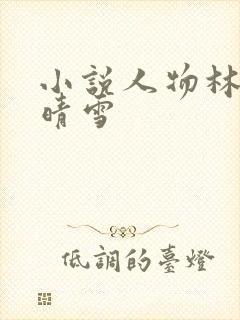 小说人物林凡苏晴雪