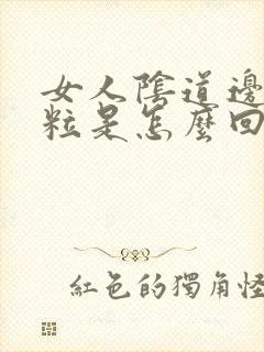 女人阴道边有颗粒是怎么回事