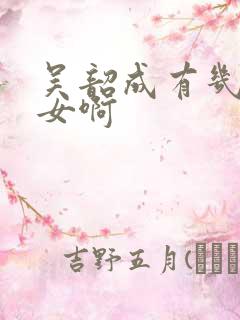 吴韶成有几个子女啊