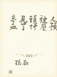 梦见头被人打流血了什么预兆