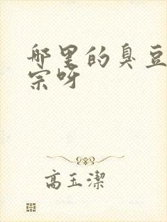 哪里的臭豆腐正宗呀