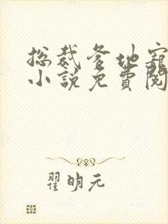 总裁爹地宠上天小说免费阅读