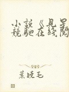 小说《见星》陈竞驰在线阅读