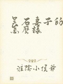 吴石妻子的结局怎么样